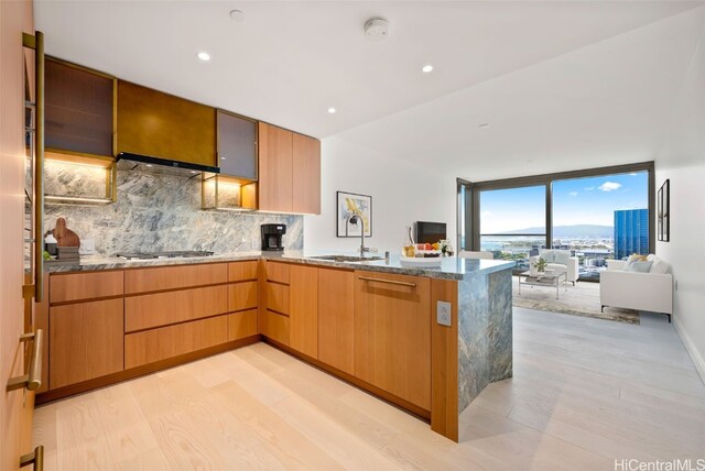 kitchen with kitchen peninsula, backsplash, light hardwood / wood-style flooring, and sink