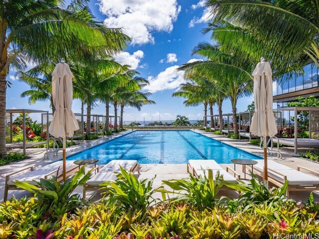 view of pool featuring a patio area