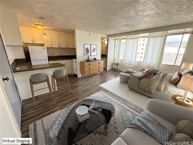 living room featuring a textured ceiling, sink, and dark wood-type flooring