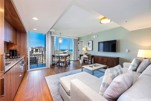 living room with hardwood / wood-style flooring and expansive windows