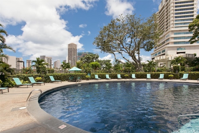 view of swimming pool with a patio