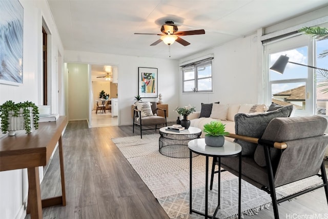 living room with ceiling fan and wood-type flooring