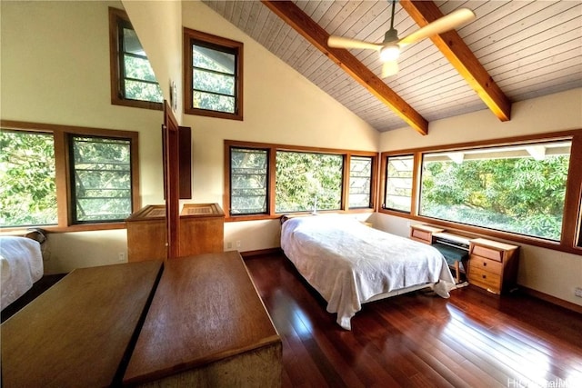 unfurnished bedroom with high vaulted ceiling, ceiling fan, beamed ceiling, dark hardwood / wood-style flooring, and wood ceiling