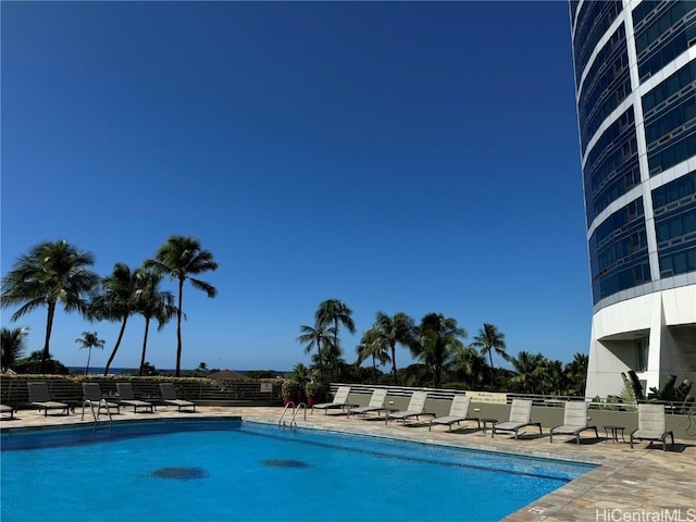 view of pool featuring a patio