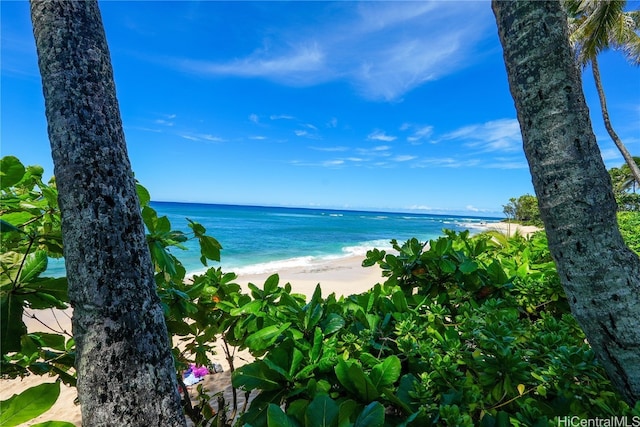 view of water feature with a view of the beach