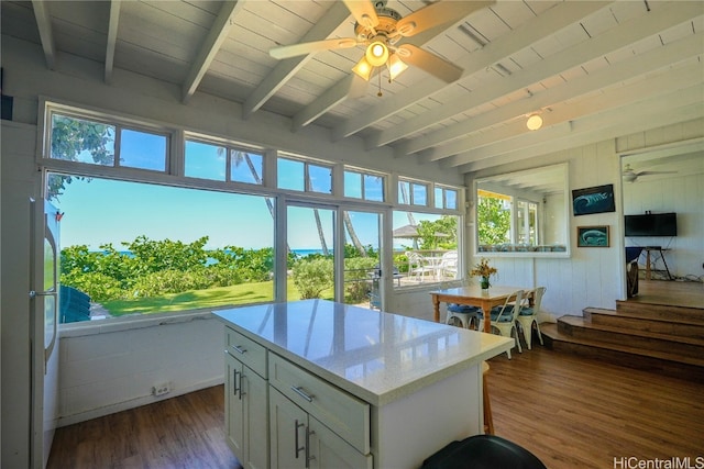 kitchen with plenty of natural light, dark hardwood / wood-style floors, light stone counters, and white cabinetry