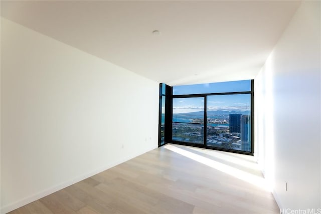 spare room featuring a mountain view, expansive windows, and light wood-type flooring