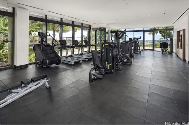 gym with floor to ceiling windows and a wealth of natural light