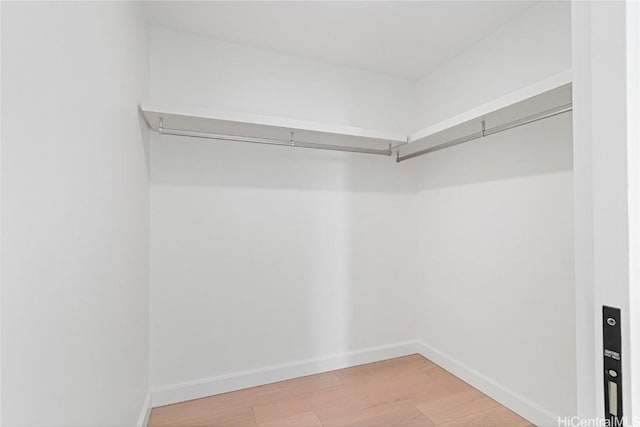 walk in closet featuring light wood-type flooring