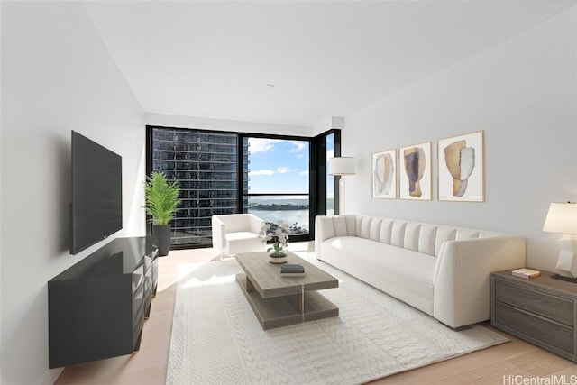 living area with a wall of windows and light wood-style flooring