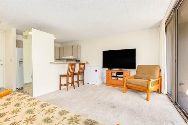 living room with light colored carpet