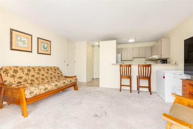 living room featuring light colored carpet