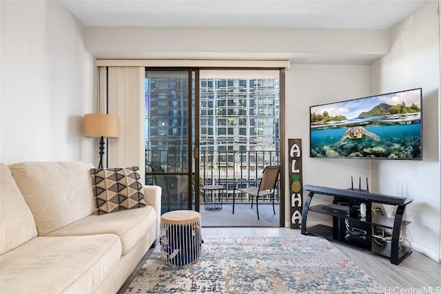 living room featuring hardwood / wood-style flooring