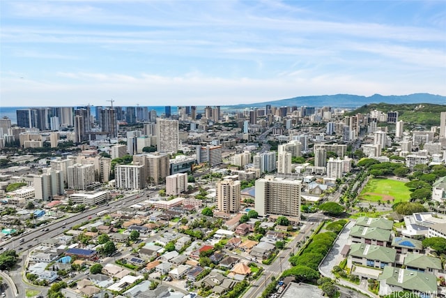 aerial view with a mountain view