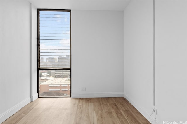 empty room featuring light wood-type flooring