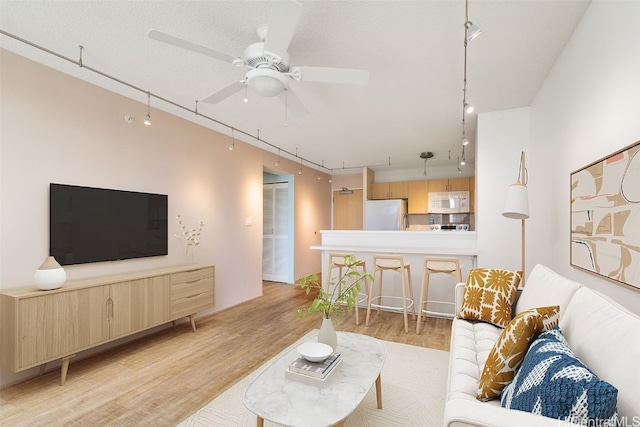 living room with ceiling fan and light hardwood / wood-style floors