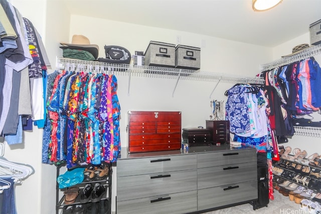 walk in closet featuring light carpet