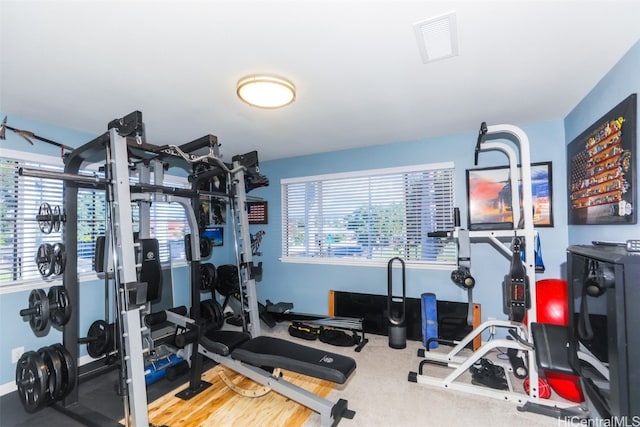 exercise area with carpet floors