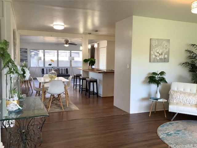 living room featuring ceiling fan and dark hardwood / wood-style floors