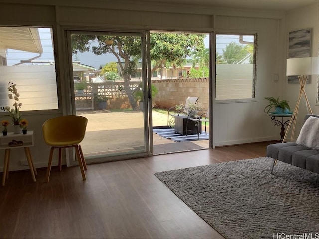 doorway to outside featuring wood-type flooring