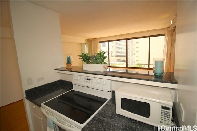 kitchen with dark hardwood / wood-style flooring and white stove