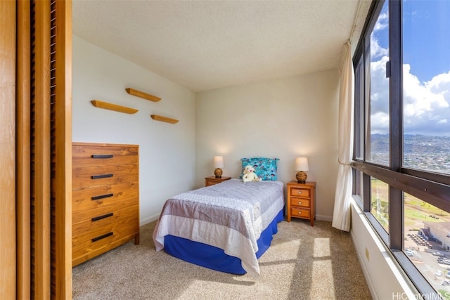 bedroom with carpet flooring and a textured ceiling