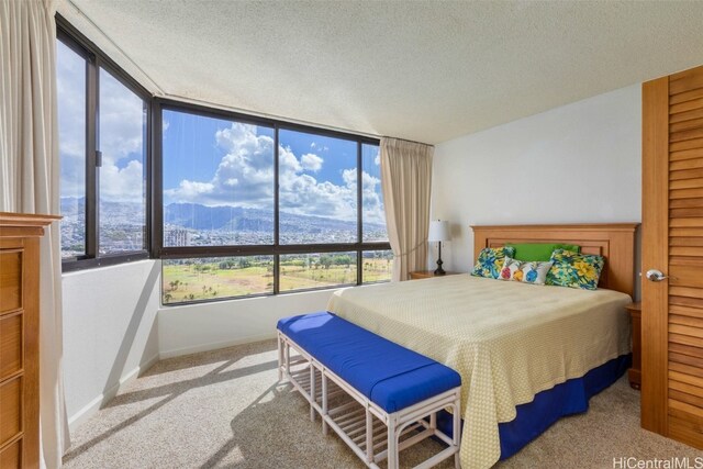 carpeted bedroom with a mountain view, a textured ceiling, and multiple windows