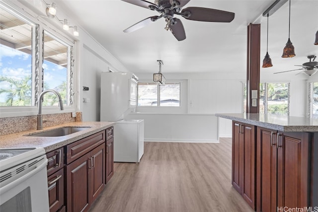 kitchen featuring decorative light fixtures, ceiling fan, light hardwood / wood-style floors, and sink