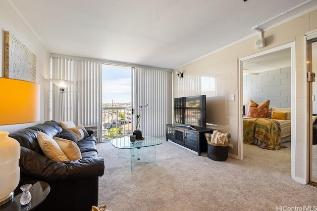 living room with light colored carpet and ornamental molding