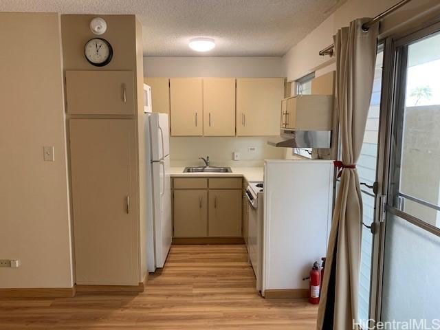 kitchen with sink, white fridge, a textured ceiling, cream cabinetry, and light wood-type flooring