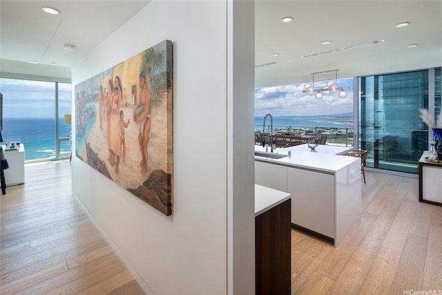 hallway featuring floor to ceiling windows, a healthy amount of sunlight, light wood-style flooring, and a sink