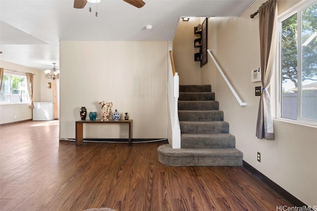 stairs with ceiling fan with notable chandelier, a healthy amount of sunlight, and wood-type flooring