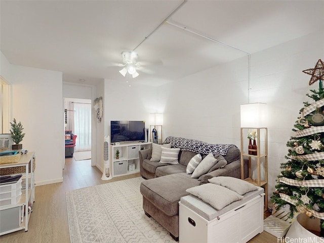 living room featuring ceiling fan and light hardwood / wood-style flooring