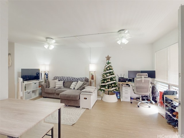 office area featuring light hardwood / wood-style flooring