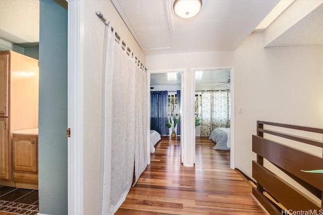 hall featuring dark wood-type flooring