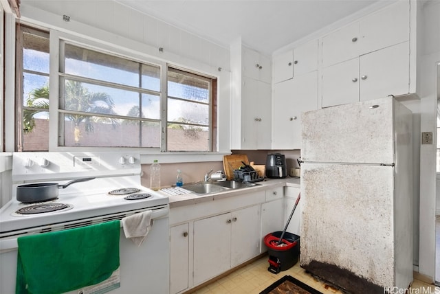 kitchen with white cabinetry, white appliances, and sink