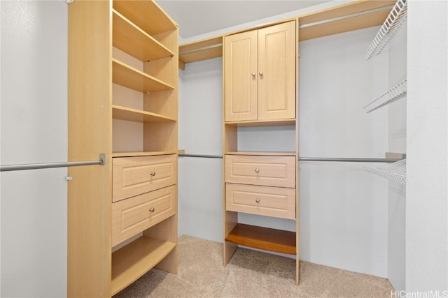 spacious closet featuring light carpet