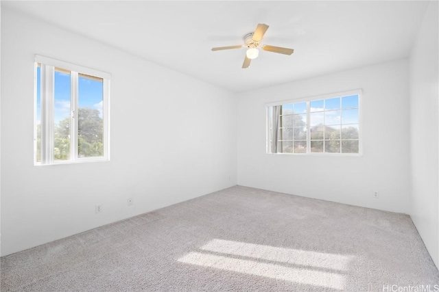 unfurnished room featuring carpet flooring, ceiling fan, and a healthy amount of sunlight