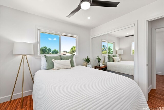 bedroom featuring multiple windows, ceiling fan, a closet, and wood-type flooring