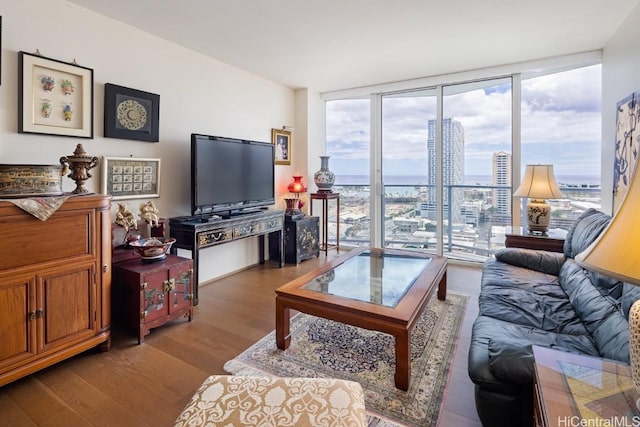 living room with floor to ceiling windows and wood-type flooring