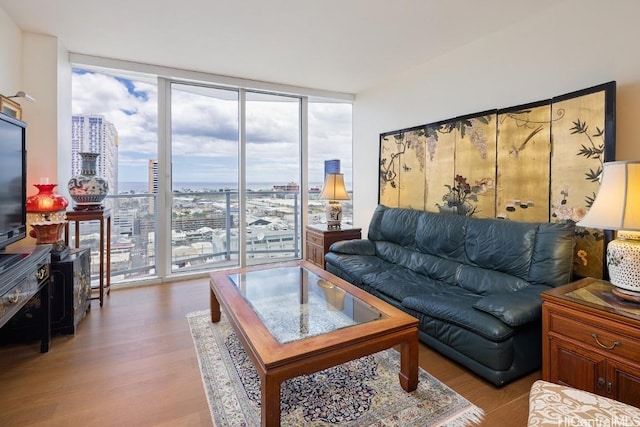 living room featuring expansive windows, a healthy amount of sunlight, and light hardwood / wood-style floors