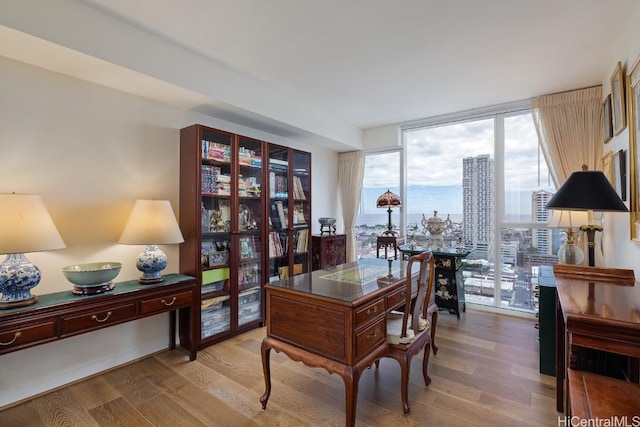 office space with light hardwood / wood-style floors and expansive windows