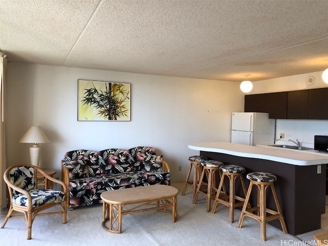 carpeted living room with sink and a textured ceiling