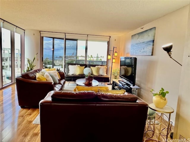 living room with light hardwood / wood-style floors and a textured ceiling