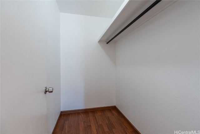 spacious closet with hardwood / wood-style flooring