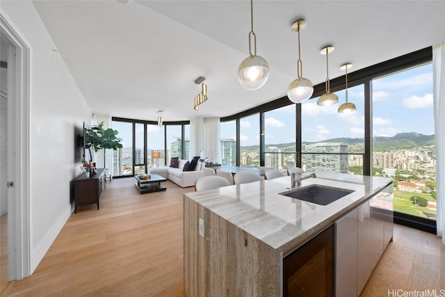 kitchen with light wood-type flooring, plenty of natural light, a kitchen island with sink, and sink