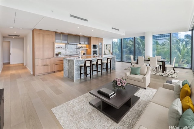 living room featuring expansive windows and light hardwood / wood-style flooring