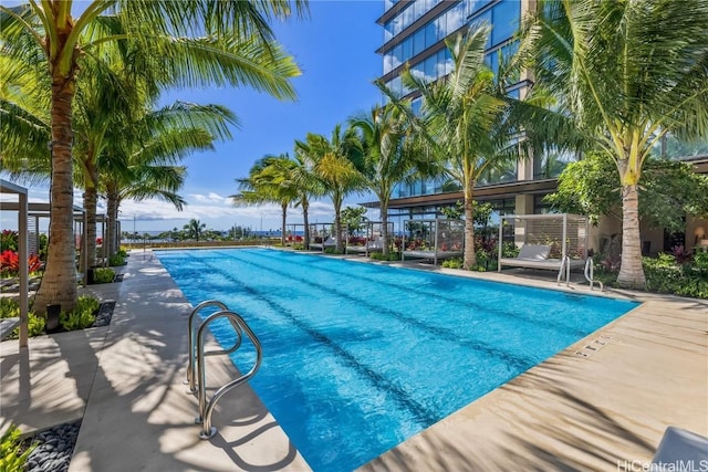 view of swimming pool with a patio