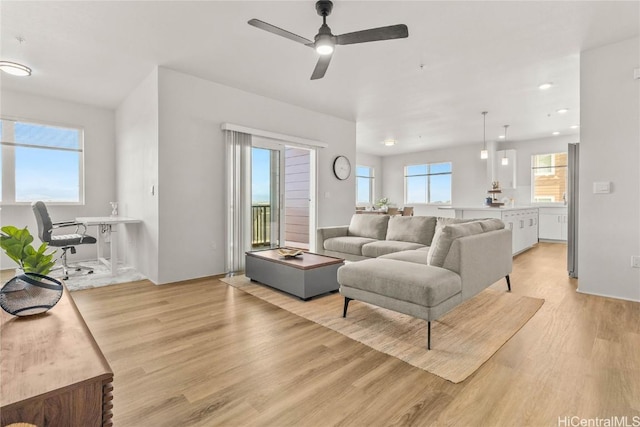 living room featuring ceiling fan and light wood-type flooring