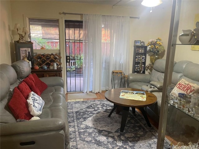 living room with ceiling fan and hardwood / wood-style flooring